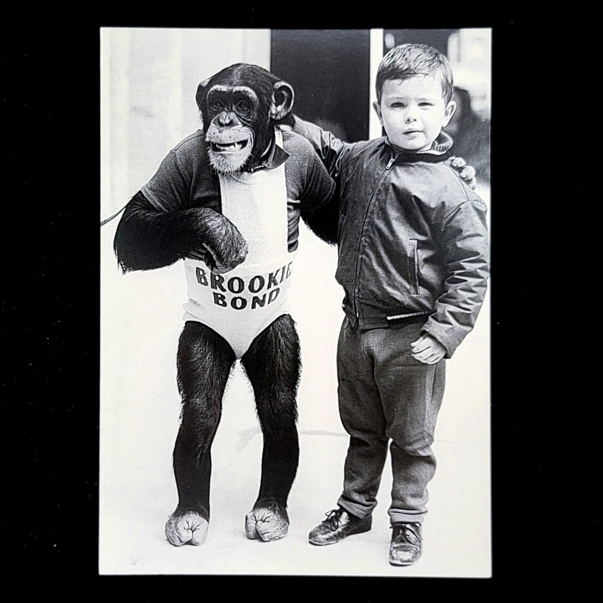Adopted Greeting Card